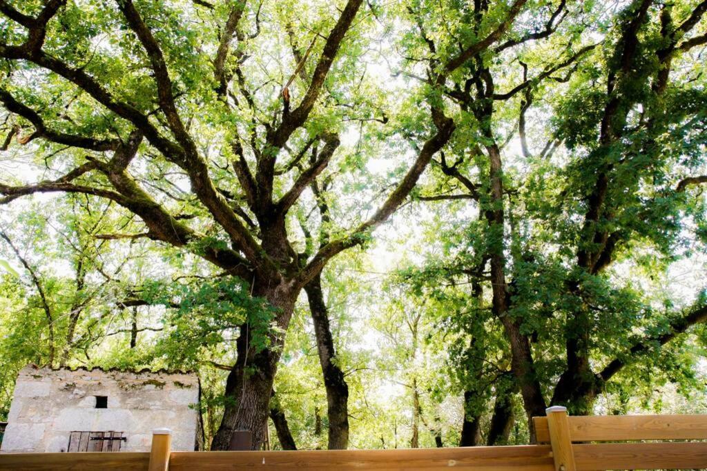 Villa La Tanière des druides à Luzech Extérieur photo